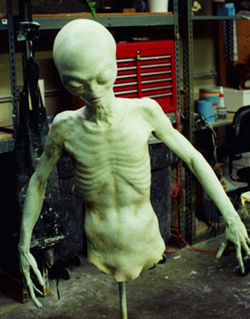  Quantum (Optic Nerve) 